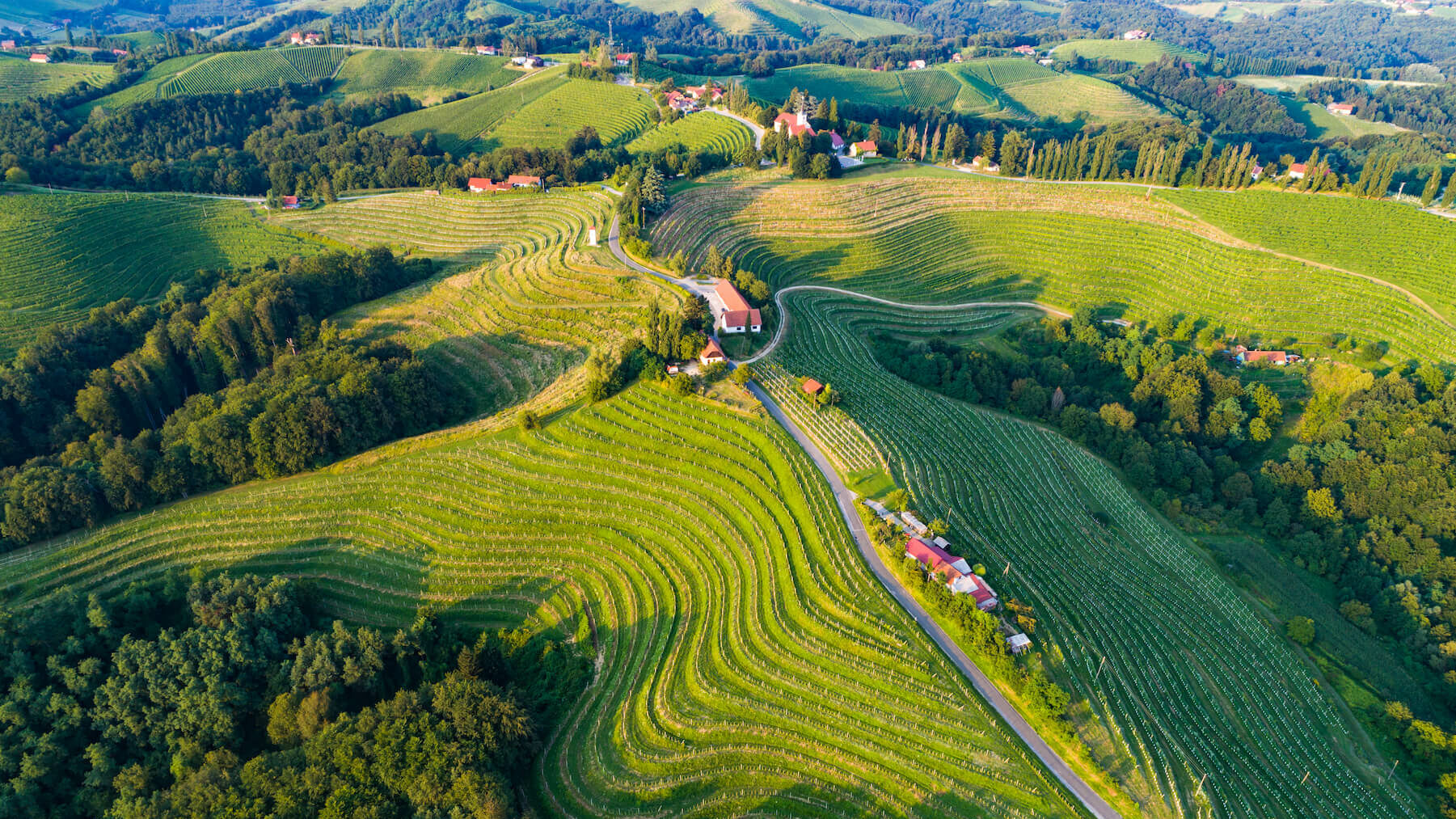 Slovenië, groene gastronomie Europese Regio van de Gastronomie 2021 | Orchidee Reizen - Reisbureau Merchtem