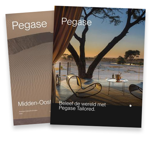 Pegase-brochure-bib-visual-500X500